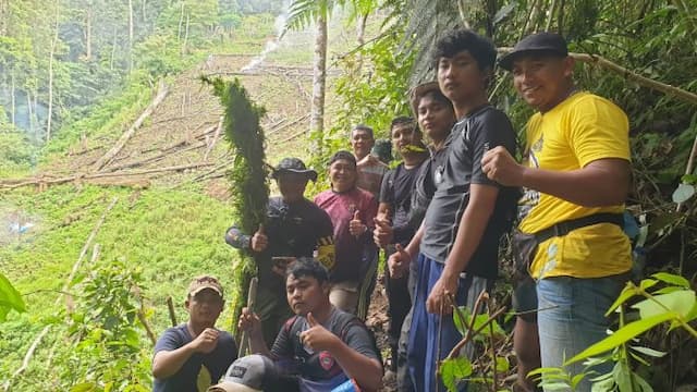 polda_sumut_buru_pemilik_ladang_ganja_seluas_8_ha_di_madina