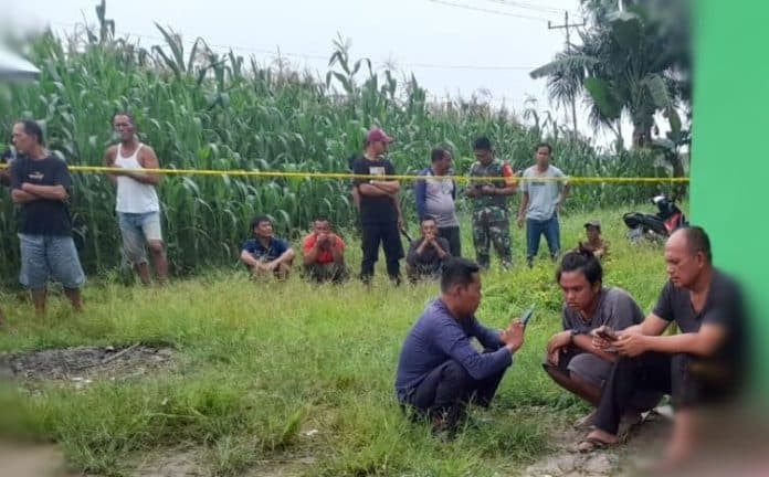 polisi_belum_tetapkan_tersangka_penganiayaan_tewaskan_irt_di_simalungun