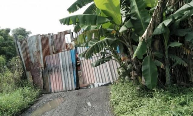 polisi_janji_akan_selidiki_penampungan_cpo_ilegal_di_belawan