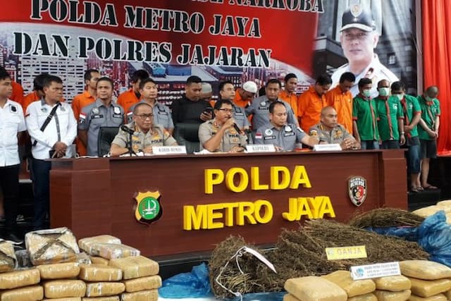 polisi_perkirakan_ladang_ganja_di_madina_berumur_8_bulan