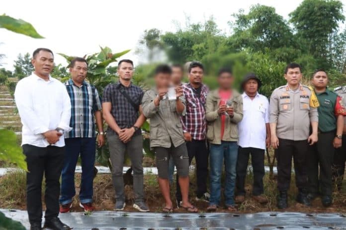 polisi_tangkap_petani_jeruk_nyambi_jual_sabu_di_simalungun