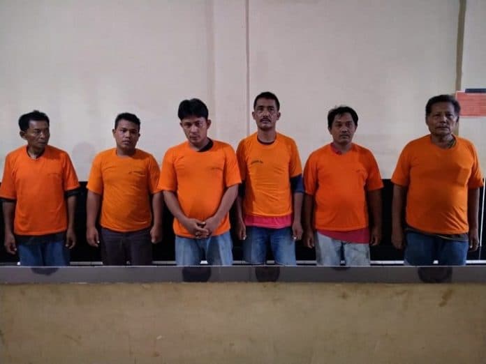 polisi_tetapkan_6_tersangka_judi_sabung_ayam_di_lau_dendang