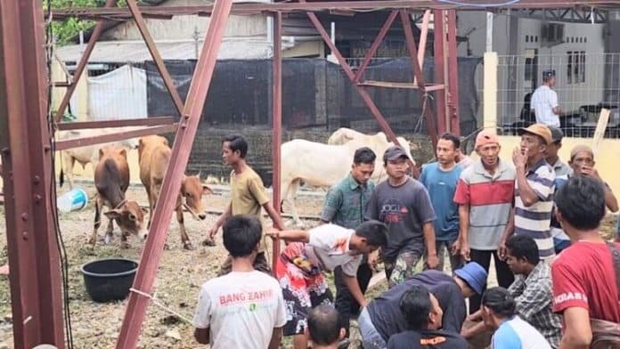 polres_batu_bara_sembelih_10_sapi_kapolres_kurban_kendaraan_kita_di_akhirat