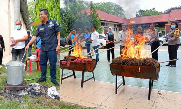 polres_langkat_musnahkan_48_kg_sabu_dan_305_kg_ganja