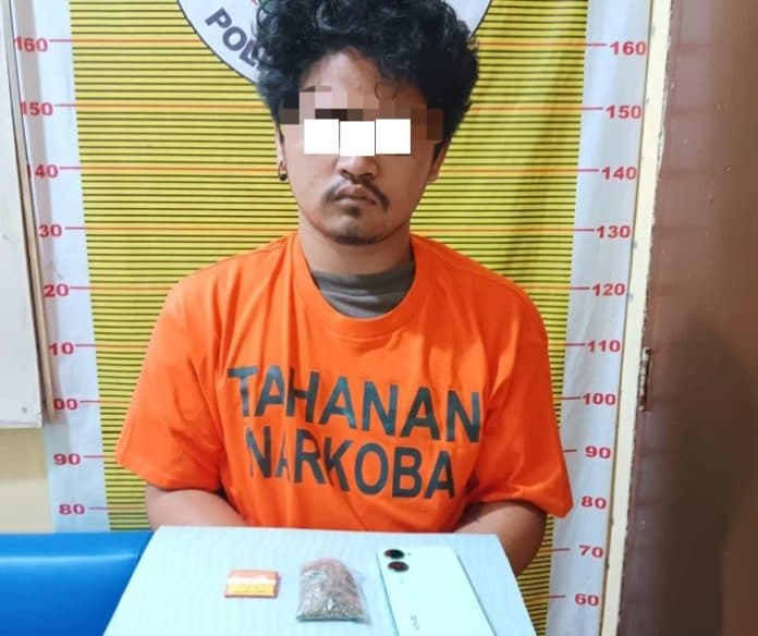 polres_samosir_amankan_mahasiswa_diduga_pemilik_ganja_dari_lapo_tuak