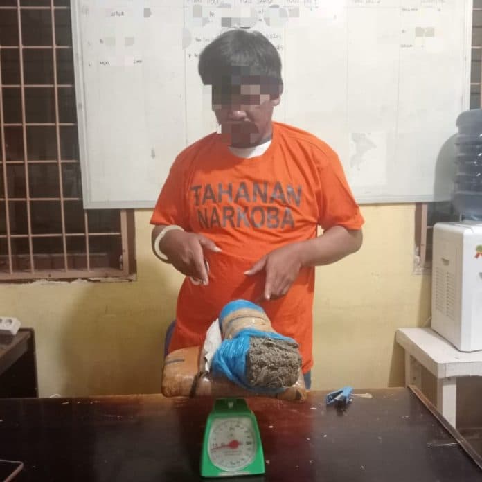 polres_samosir_tangkap_pengedar_ganja_di_desa_cinta_dame