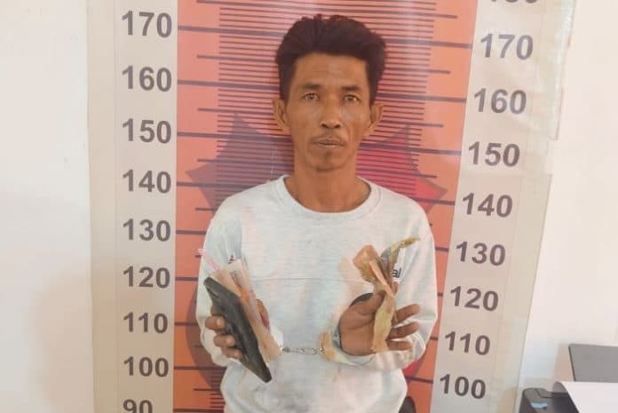 polres_sergai_tangkap_jurtul_togel_sidney_dari_sebuah_warung