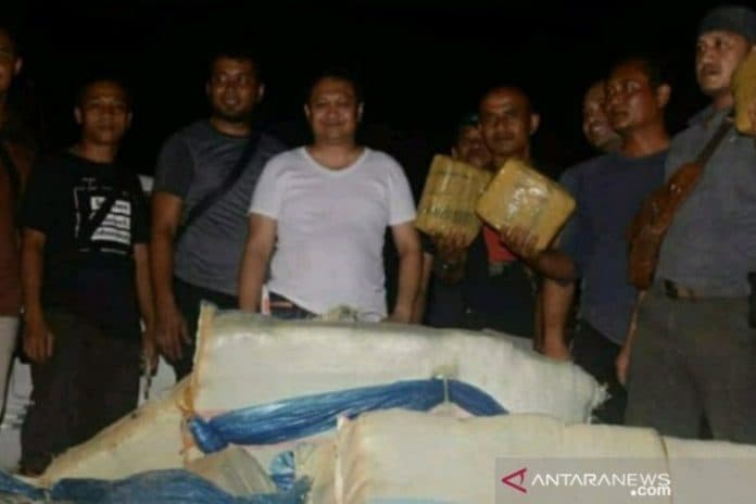 polres_sidempuan_amankan_250_kg_ganja