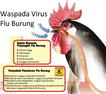 prancis_tetapkan_status_waspada_tinggi_flu_burung