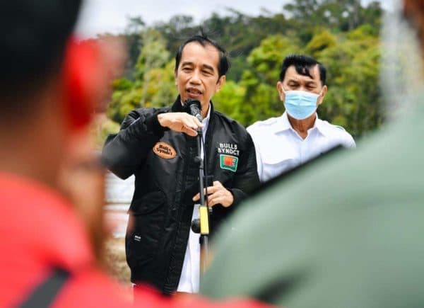 presiden_jokowi_tinjau_kawasan_lumbung_pangan_baru_di_humbahas