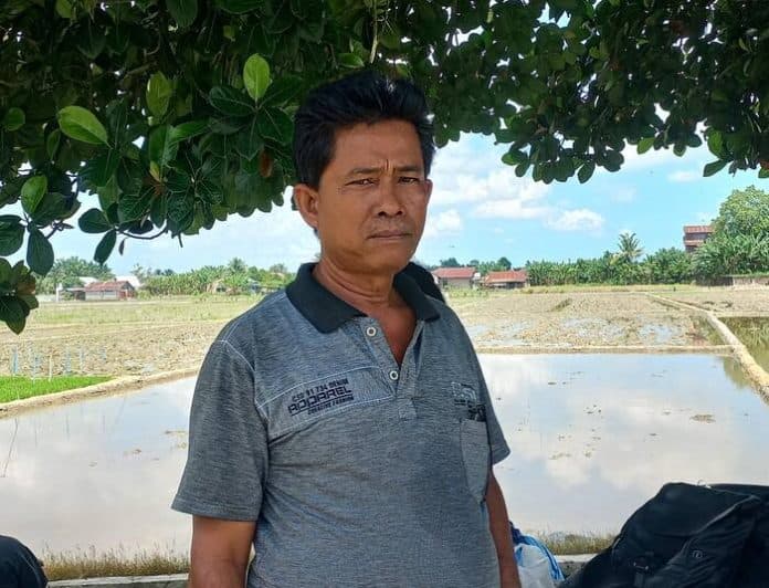 presiden_prabowo_canangkan_swasembada_pangan_ini_harapan_petani