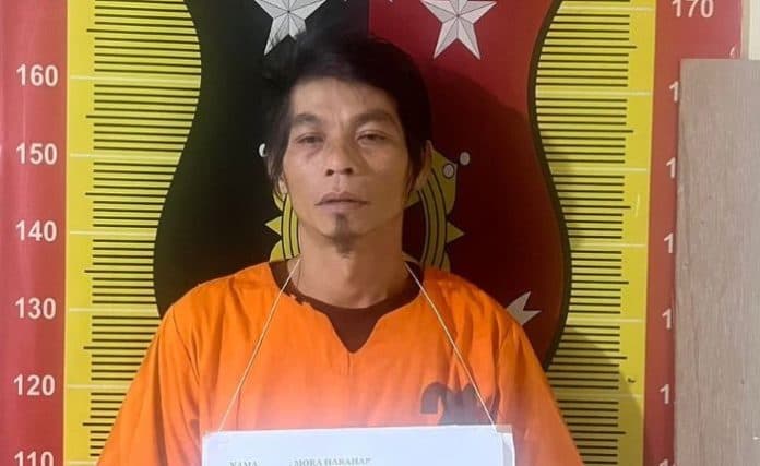 pria_yang_cabuli_anak_tirinya_ditangkap_polres_padangsidimpuan