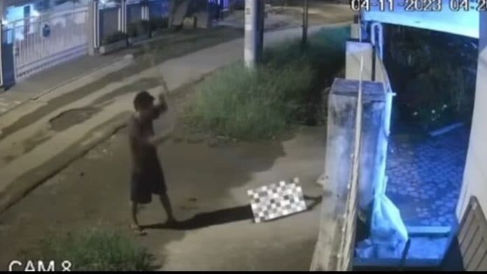 pria_yang_siksa_anjing_hingga_tewas_dilaporkan_ke_polisi
