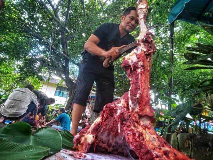 proses_pemotongan_daging_hewan_kurban_di_medan