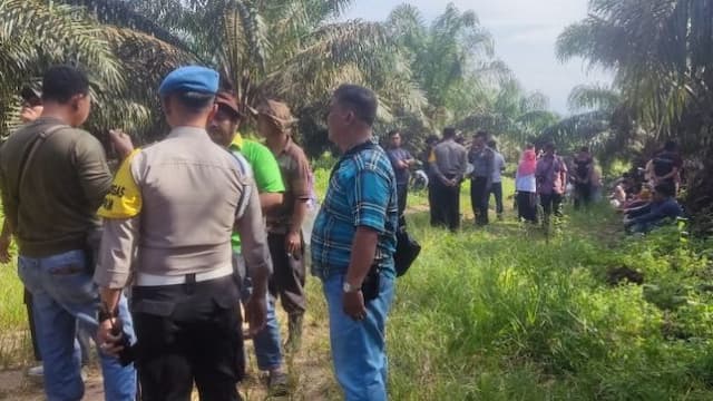 protes_masyarakat_dusun_tanjung_marulak_tanam_pohon_pisang_di_lahan_perkebunan