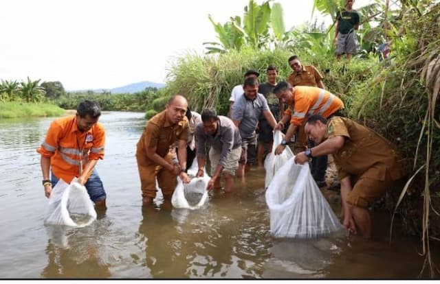 pt_ar_perluas_zona_lubuk_larangan_tebar_ribuan_ikan_di_sungai_garoga