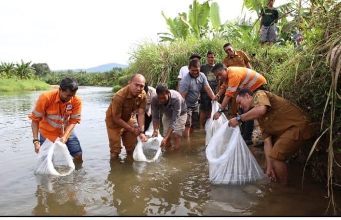 pt_ar_perluas_zona_lubuk_larangan_tebar_ribuan_ikan_di_sungai_garoga