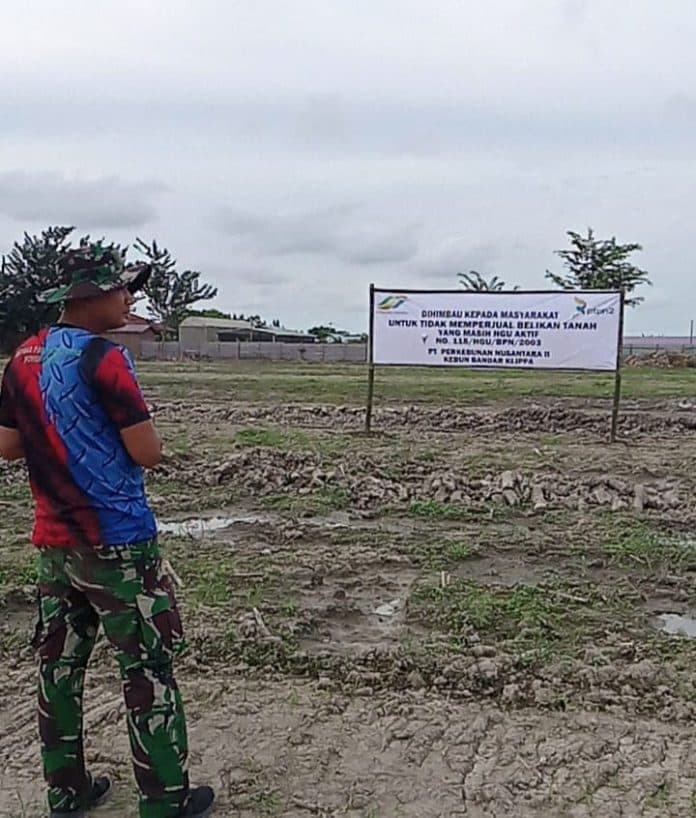ptpn2_bersihkan_spanduk_jual_beli_lahan_hgu_kebun_bandar_klippa