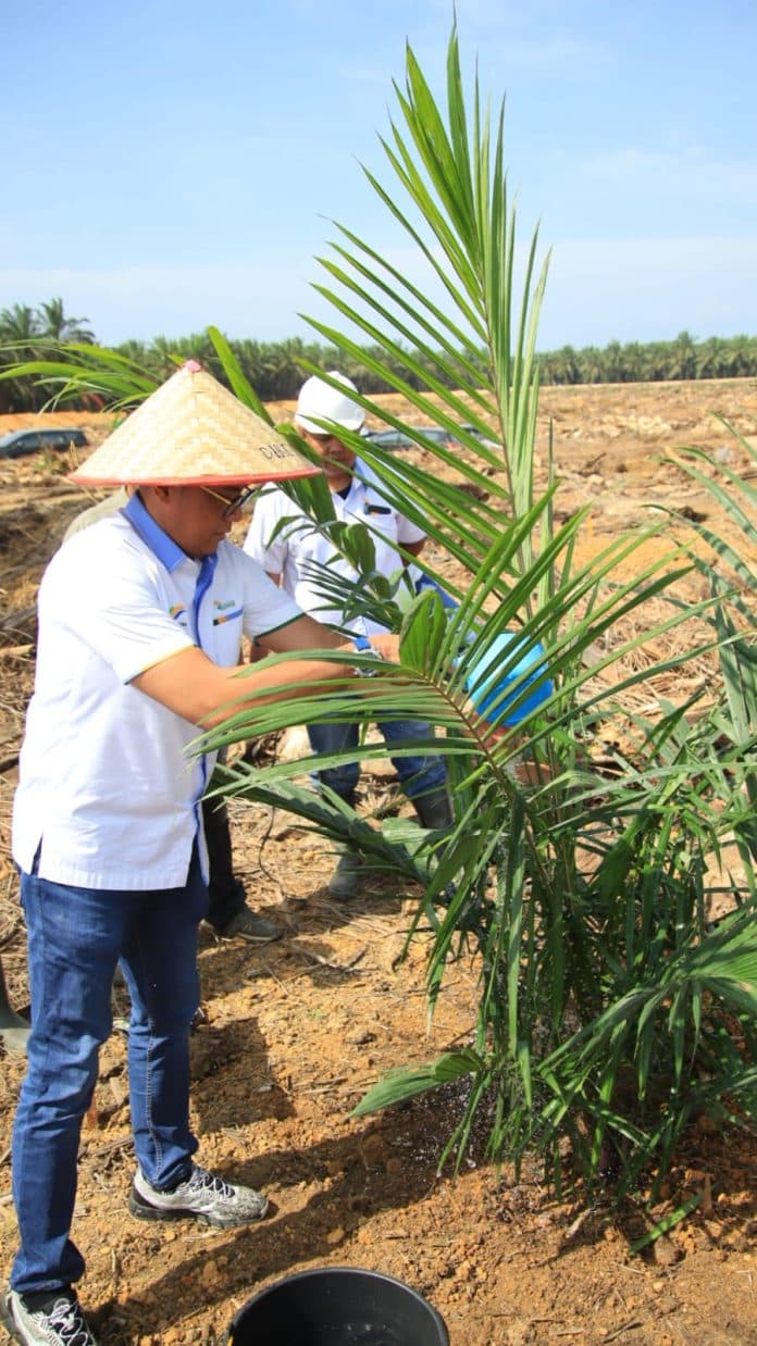 ptpn_2_kejar_target_menjadi_yang_terbaik_di_ptpn_group