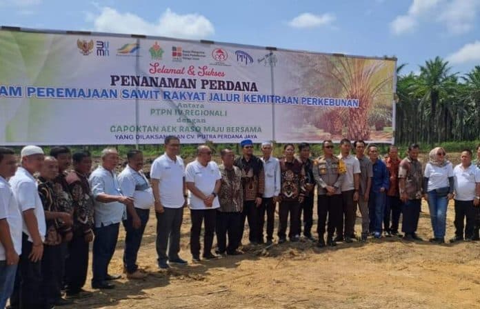 ptpn_iv_serahkan_program_penanaman_sawit_rakyat_jalur_kemitraan_pada_gapoktan