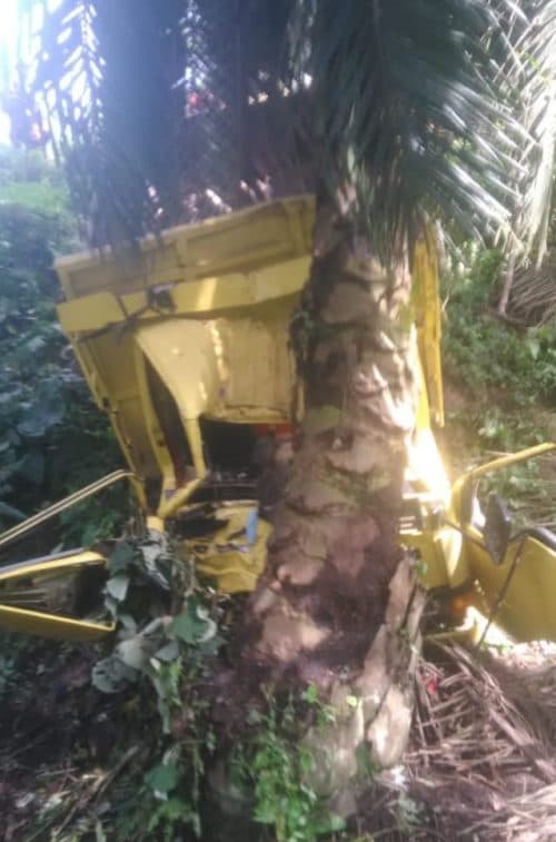 pulang_antar_batu_bata_truk_colt_diesel_tabrak_pohon_sawit_supir_terjepit