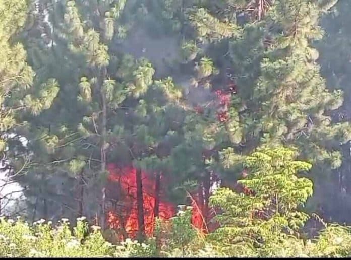 puluhan_hektar_lahan_di_desa_sirukkungon_toba_terbakar_pemadaman_sulit