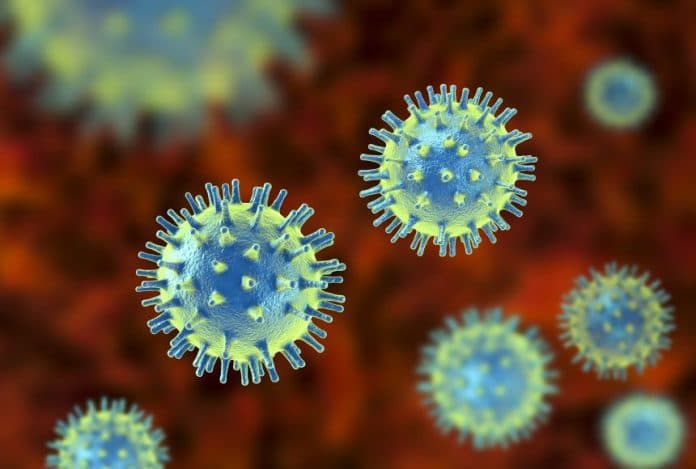 puluhan_virus_baru_ditemukan_di_china_berpotensi_menular_ke_manusia