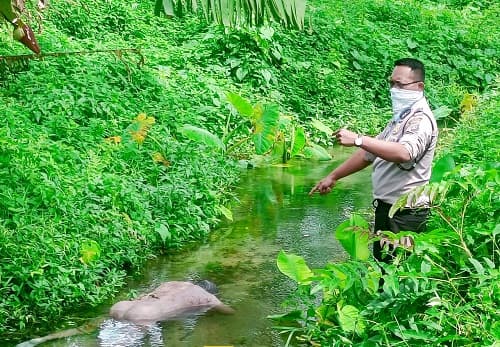 ramlan_butar_butar_ditemukan_tak_bernyawa_di_parit_kebun_sawit_pt_sipef