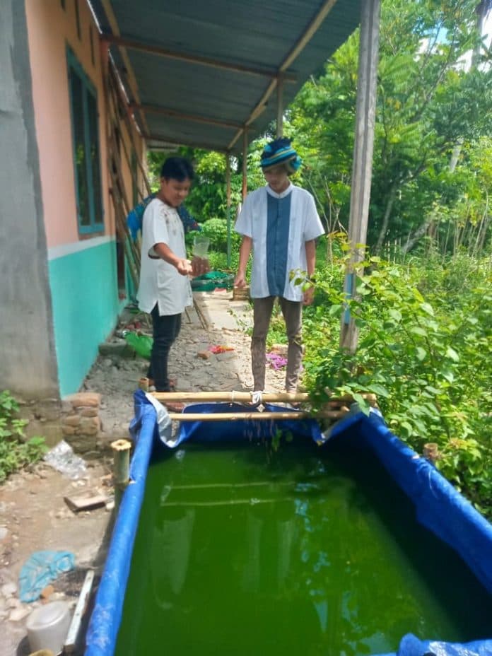 remaja_mesjid_muallifatul_bilad_belajar_ternak_lele