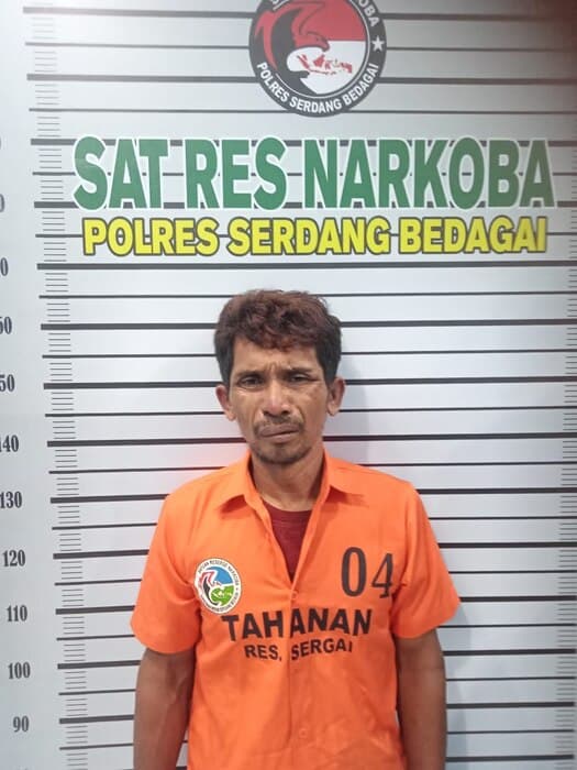 residivis_pengedar_sabu_di_silinda_dibekuk_satnarkoba_polres_sergai