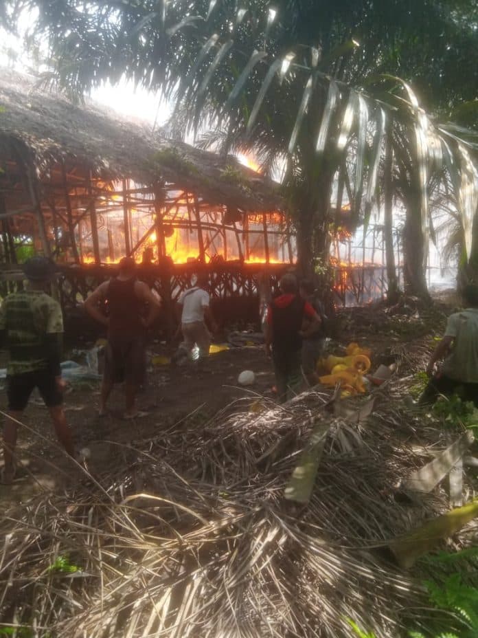 ribuan_ayam_terbakar_di_kandang_kerugian_rp_700_juta