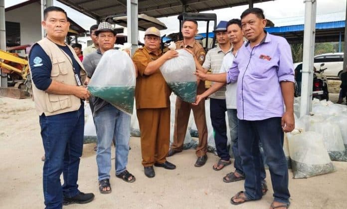 rsi_serahkan_52000_benih_ikan_tilapia_ke_pokdakan_toba