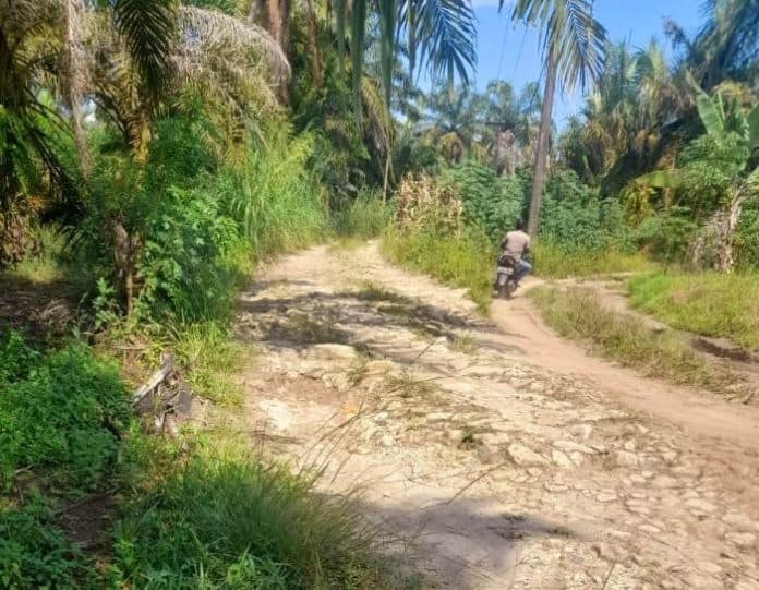ruas_jalan_desa_panombeian_dan_kuala_janji_segera_diperbaiki