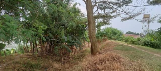 rumput_di_bantaran_sungai_diracun_warga_khawatir_jadi_bencana