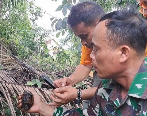 saat_cari_ikan_anak_anak_temukan_dua_granat_nanas_di_bawah_jembatan_sergai