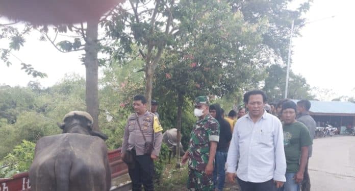 satu_dari_dua_pencuri_hewan_ternak_di_karo_yang_tewas_belum_teridentifikasi