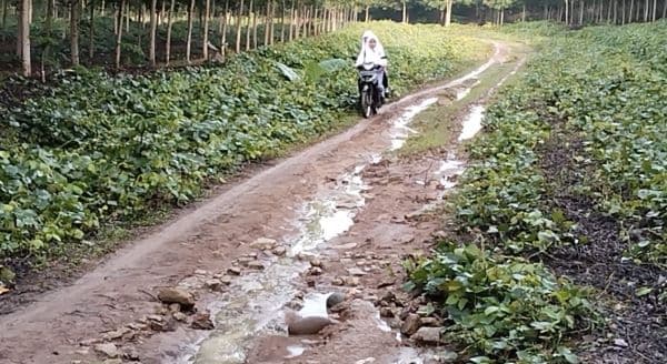 satu_periode_pimpin_sergai_darma_wijaya_belum_aspal_jalan_penghubung_dua_desa
