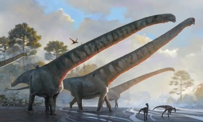 sauropoda_diklaim_spesies_terakhir_dari_dinosaurus