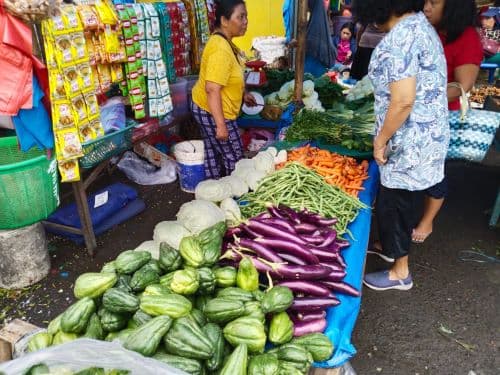 sayur_mayur_di_pasar_tradisional_dwikora_bertahan_mahal