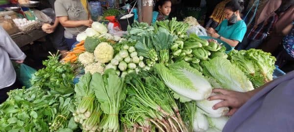 sayuran_di_medan_bertahan_mahal_ikan_basah_kosong