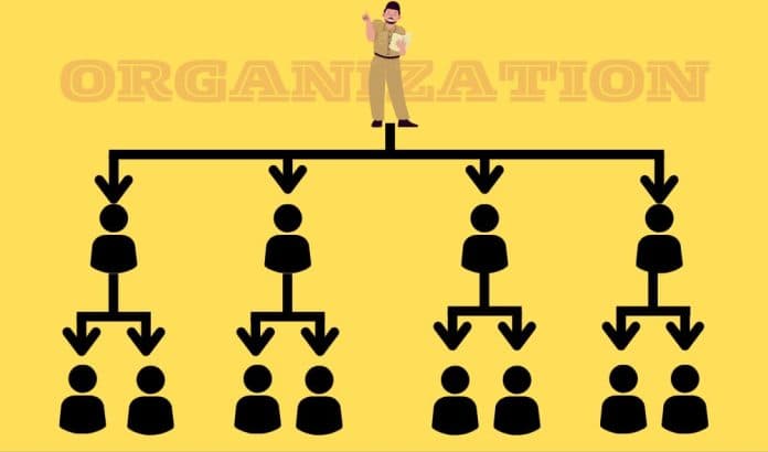 seberapa_pentingkah_organisasi_bagi_generasi_muda_begini_kata_sosiolog