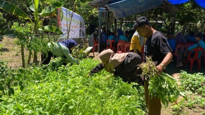 sektor_pertanian_dan_kehutanan_serap_tenaga_kerja_terbanyak_di_sumut
