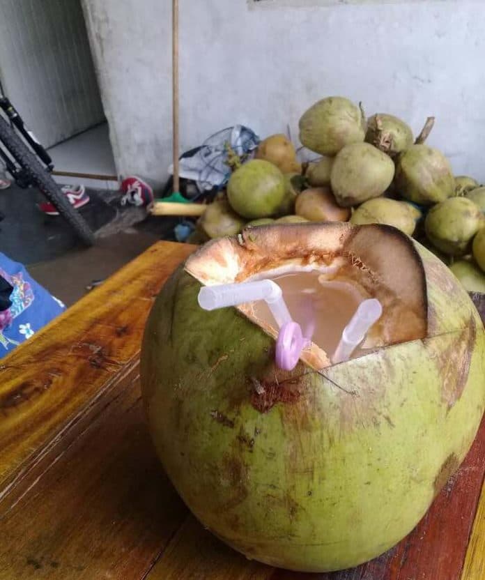 selain_penghilang_dahaga_kelapa_muda_diyakini_memiliki_segudang_khasiat