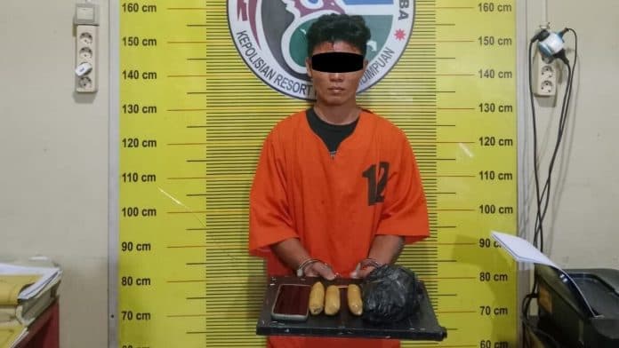 sempat_buang_barang_bukti_pengedar_ganja_diamankan_polisi