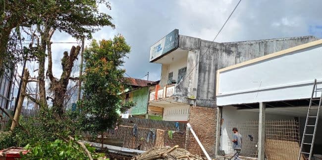 seorang_pekerja_jatuh_saat_menebang_pohon_di_jalan_sisingamangaraja_sidikalang