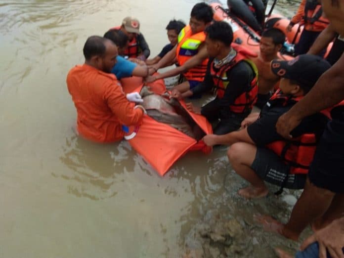 setelah_tiga_hari_hanyut_jasad_junaidi_ditemukan_di_sungai_silau