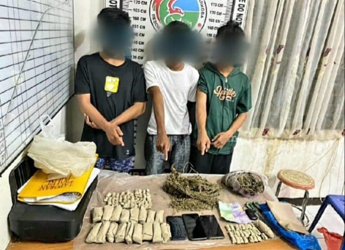 simpan_137_kg_ganja_tiga_anak_di_bawah_umur_diamankan_dari_rumah_kosong