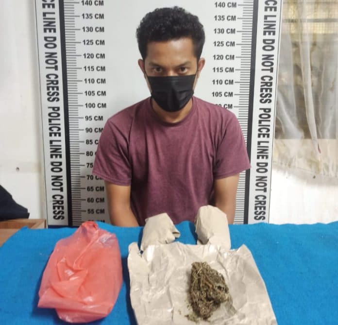 simpan_ganja_dalam_jok_pengendara_sepeda_motor_ditangkap_polres_siantar