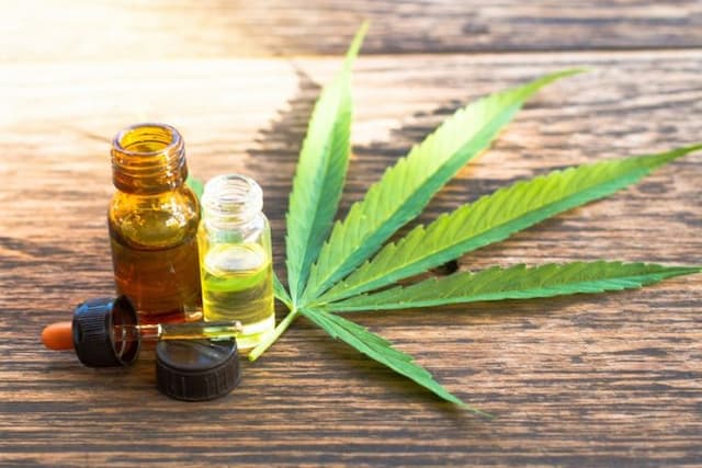 ssstt_menteri_pertanian_tetapkan_ganja_sebagai_tanaman_obat_binaan