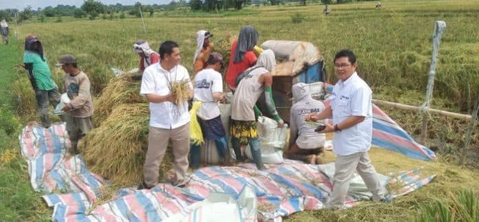 stok_beras_bulog_di_sumut_cukup_dua_bulan_ke_depan